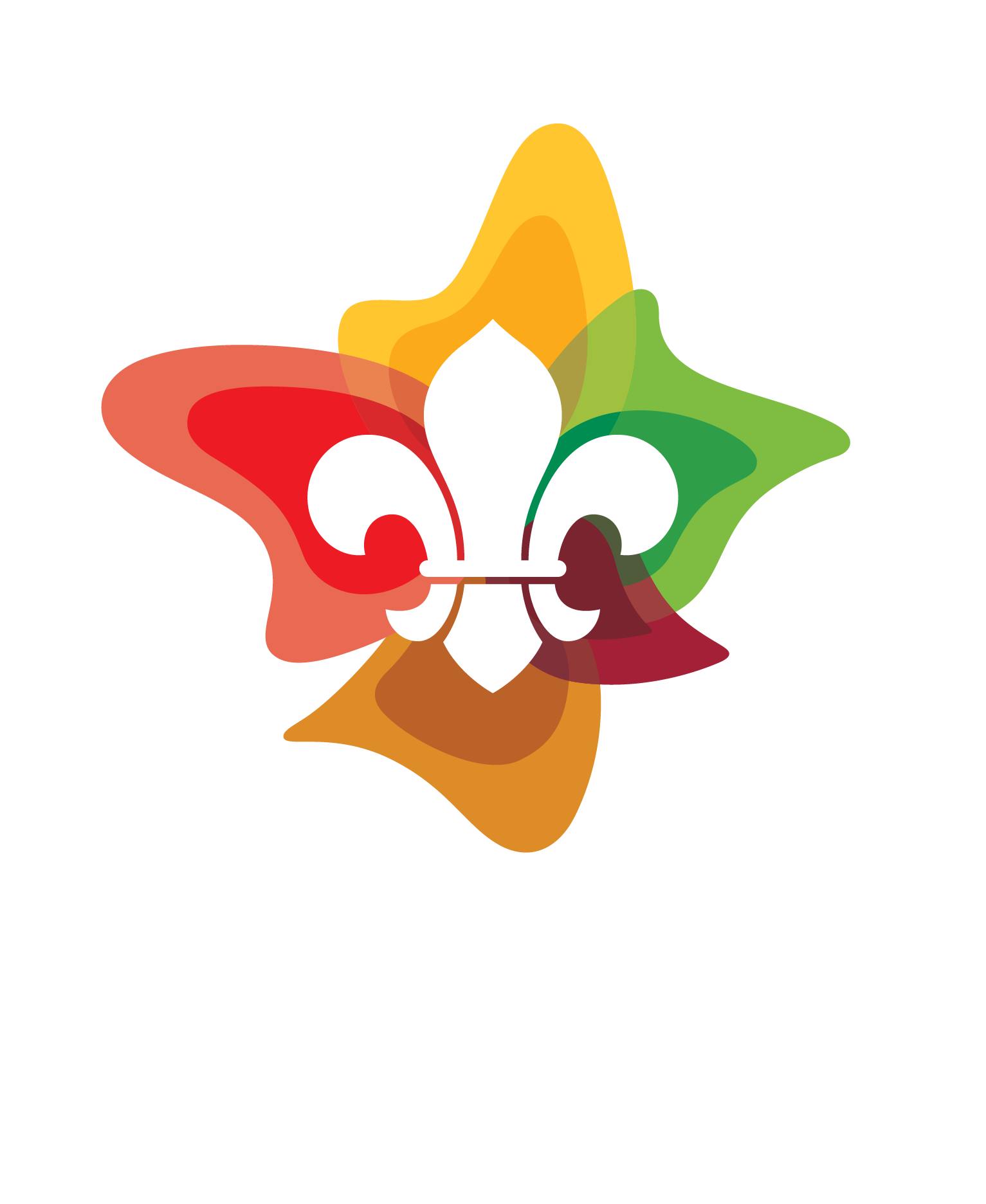 Teviot Scout Group